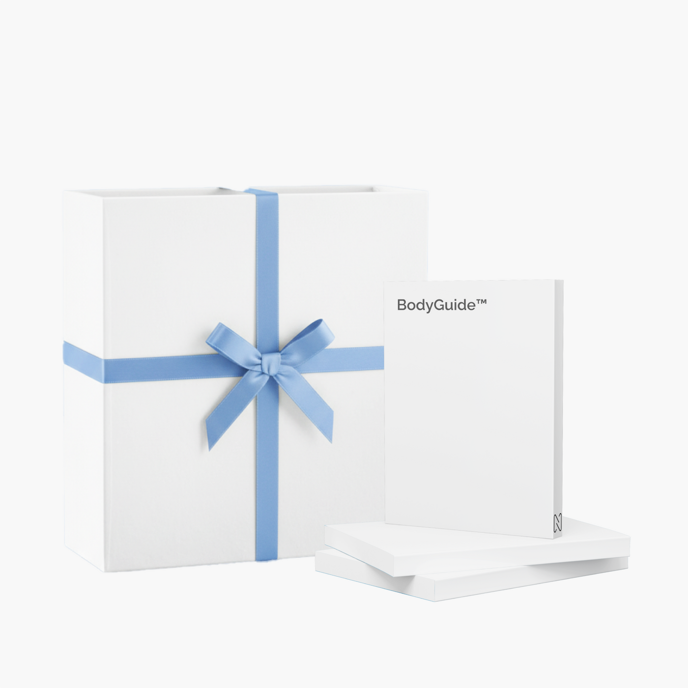 Mystery Gift + E-book Included